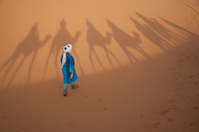 Berber leading a camel caravan in Erg Chebbi, Sahara desert, Mor Berber leading a camel caravan in Erg Chebbi, Sahara desert, Mor