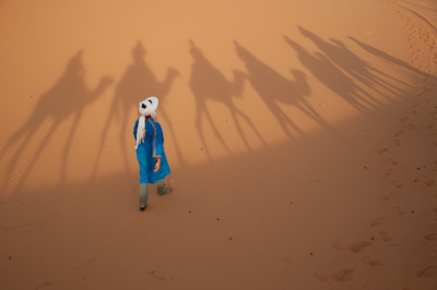 Berber leading a camel caravan in Erg Chebbi, Sahara desert, Mor