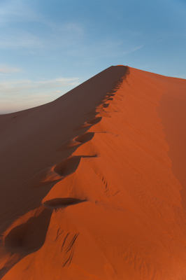 Climb on the dune in Erg Chebbi, Sahara desert, Morocco at sunri